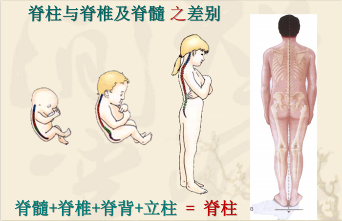 1595607551689685.jpg 00.jpg