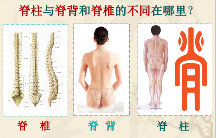 1595607724967835.jpg 00.jpg