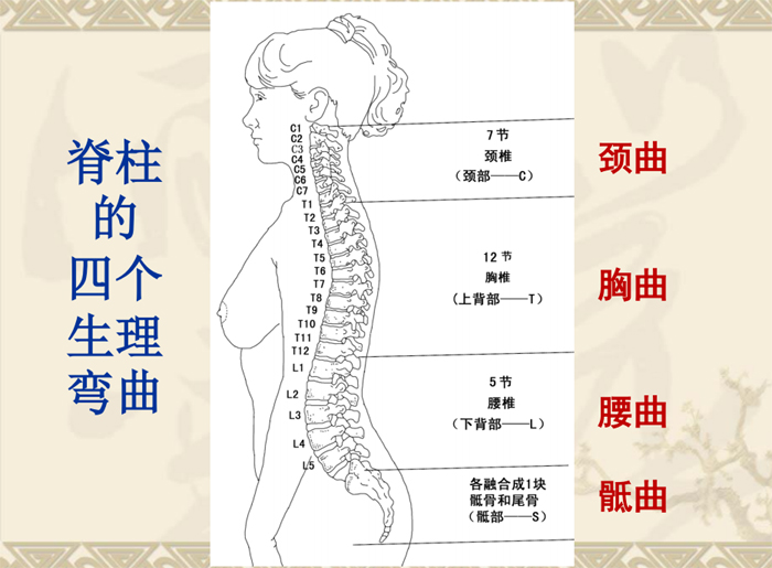 1595607869591671.jpg 00.jpg