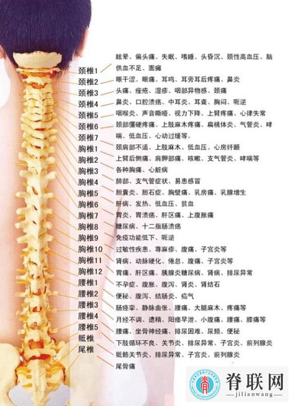 1598074763294241.jpg 图片2-1.jpg