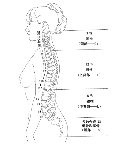 1611729450997682.png 1611729412(1).png