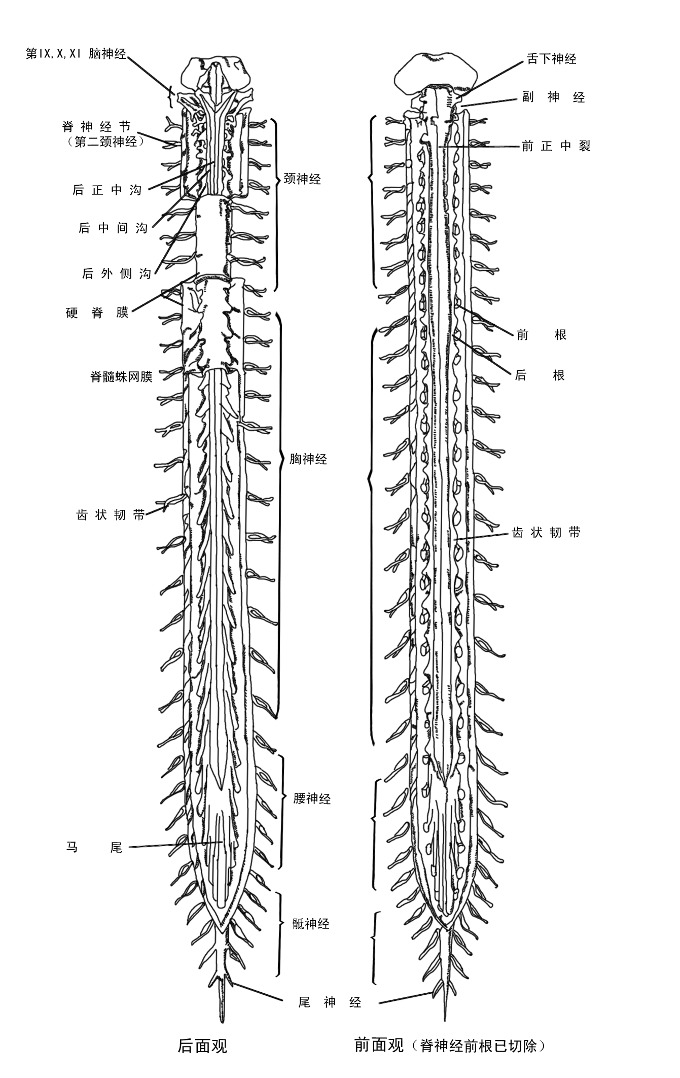 1627546784313669.png 1627546784313669.png