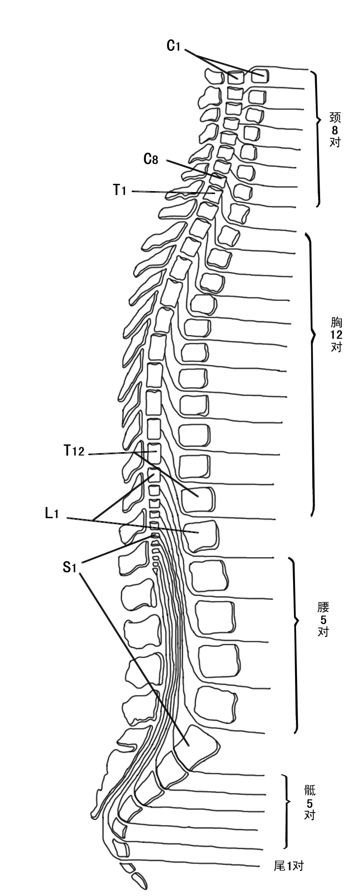 1627546825659528.png 1627546825659528.png